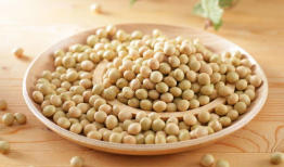 酥麻豆,舌尖上的美味诱惑